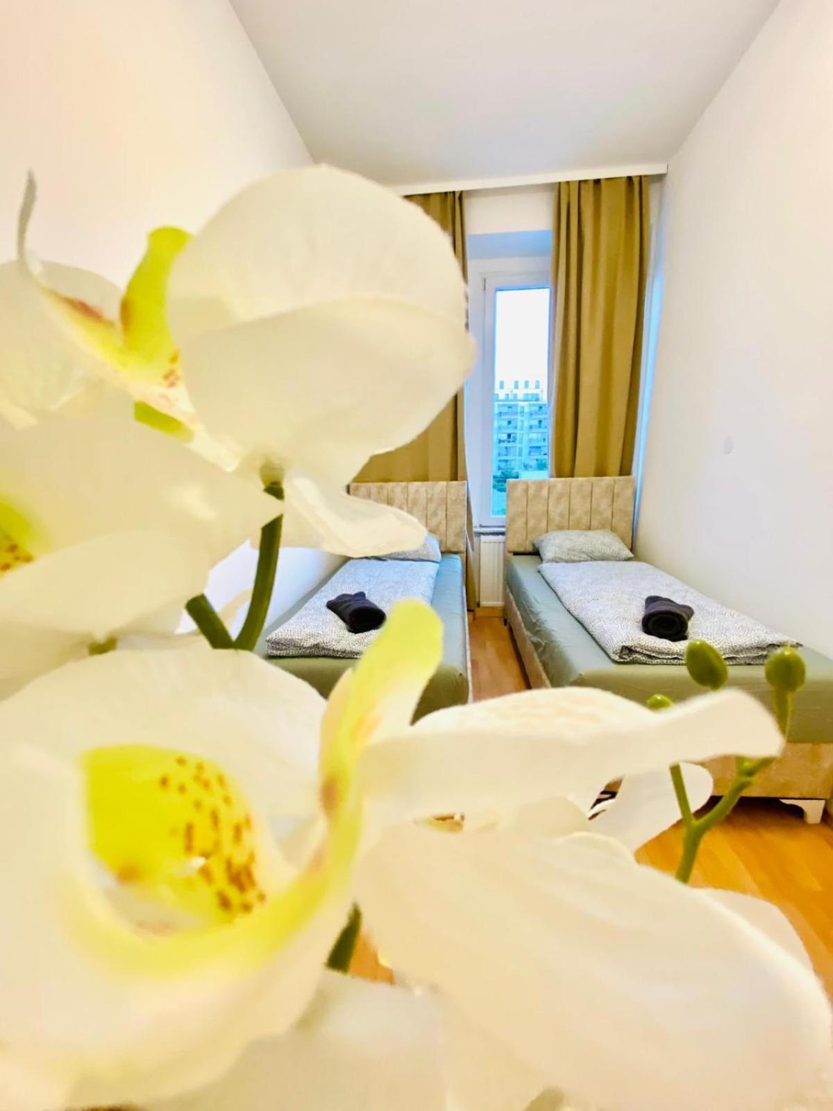 Bright 5Br Shared Apartment W Great Transport Link Βιέννη Εξωτερικό φωτογραφία